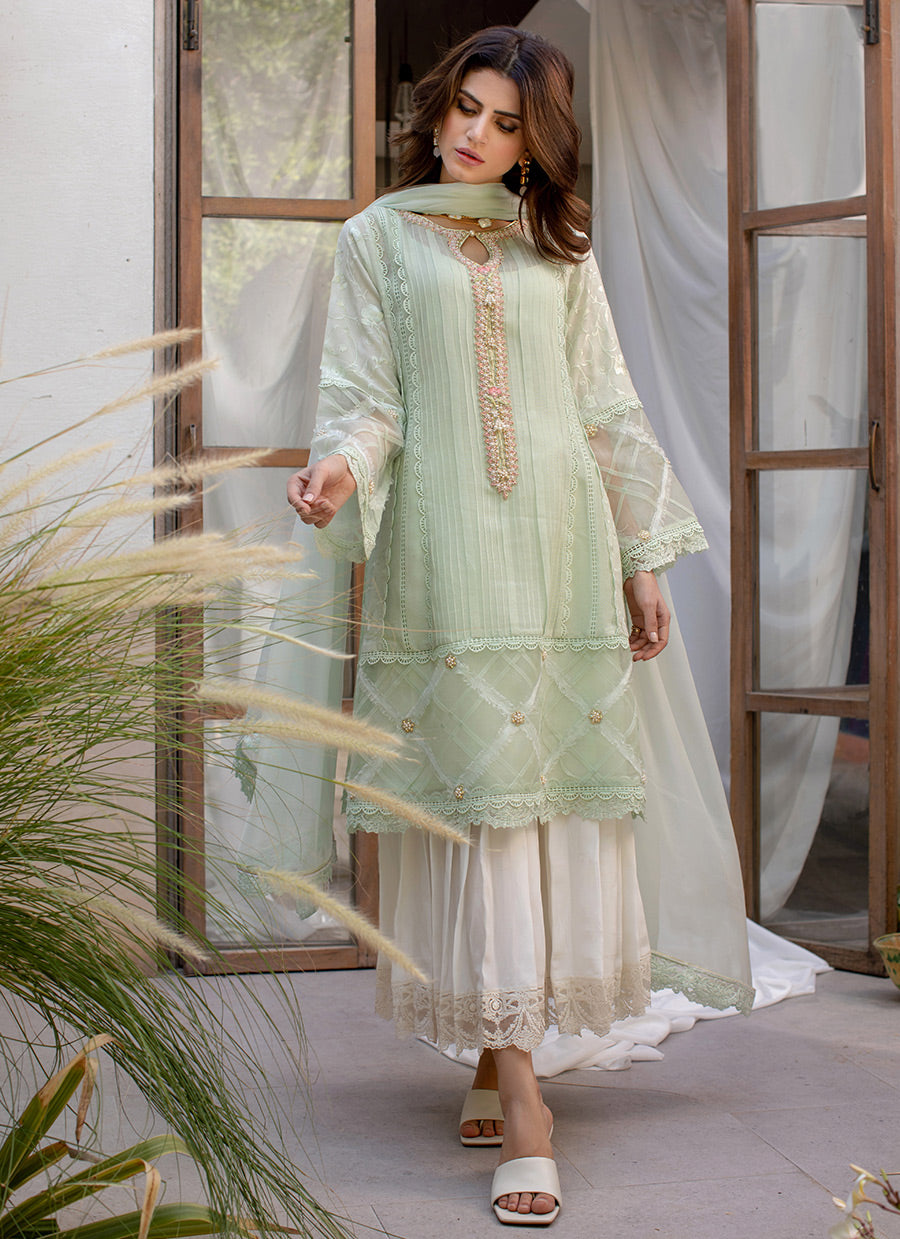 Alice Embellished Cotton Net Shirt with Dupatta