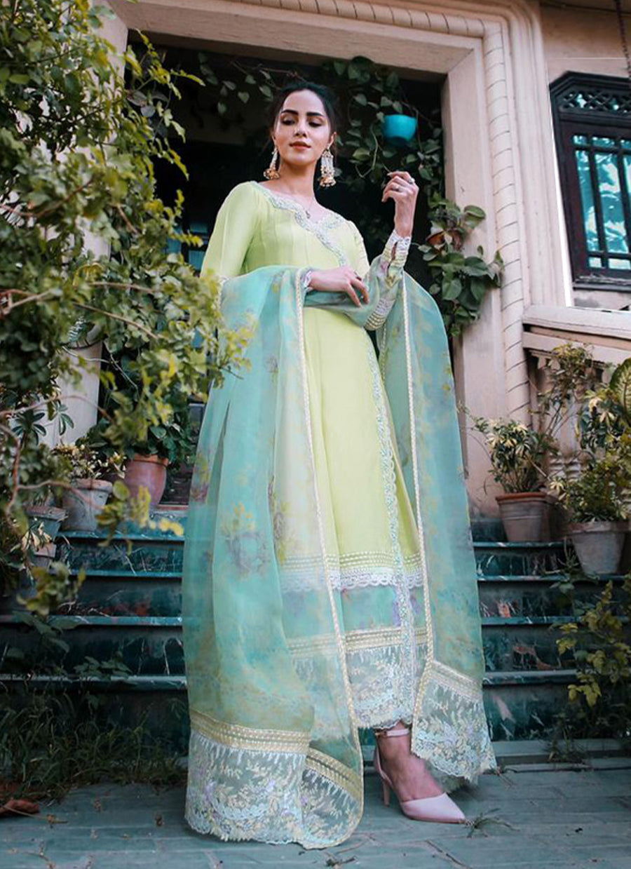 Parakeet-angarkha-001